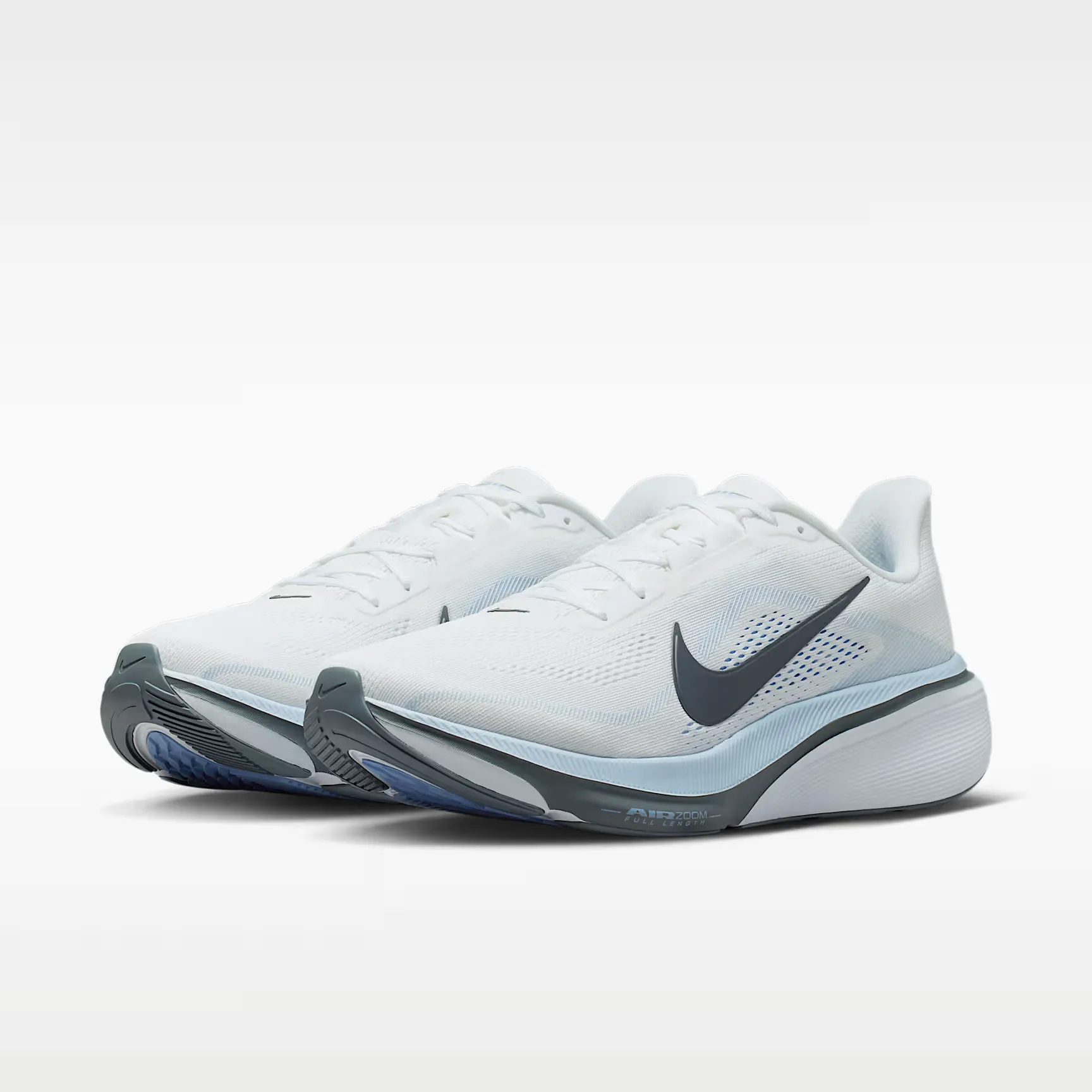 Nike Pegasus 42 