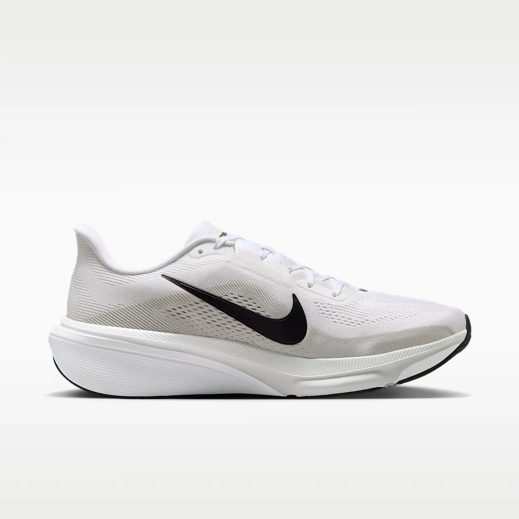 000000_Nike_Nike-Pegasus-42_IB1873-101_img2