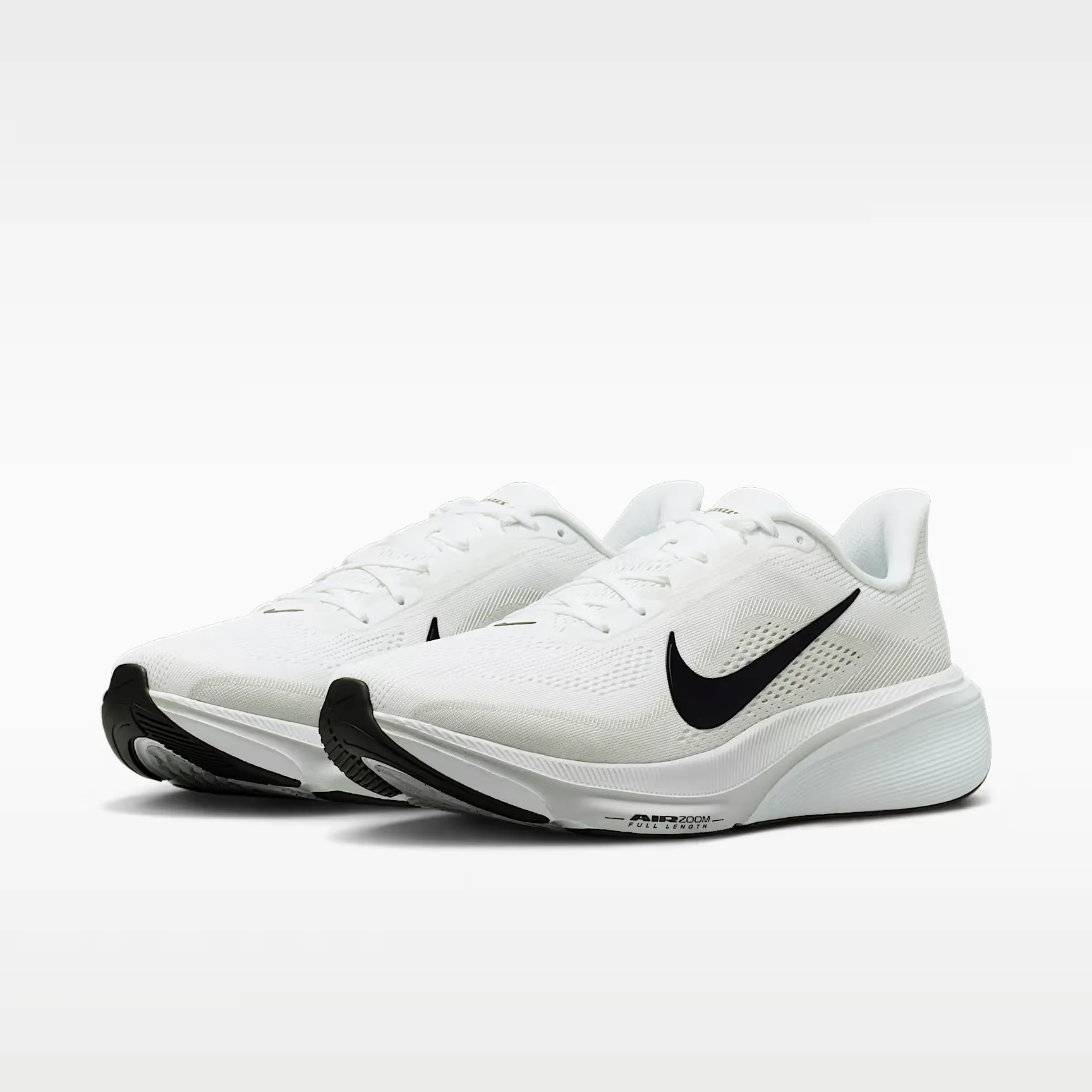 000000_Nike_Nike-Pegasus-42_IB1873-101_img4