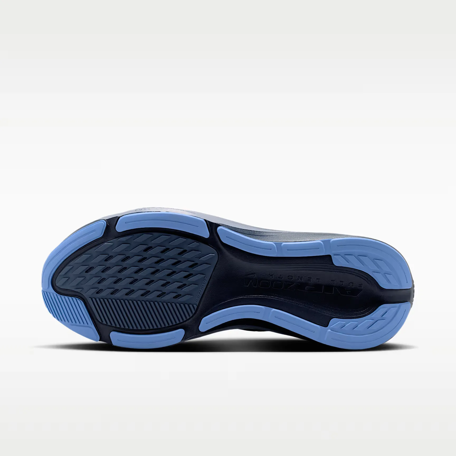 000000_Nike_Nike-Pegasus-42_IB1873-401_img1