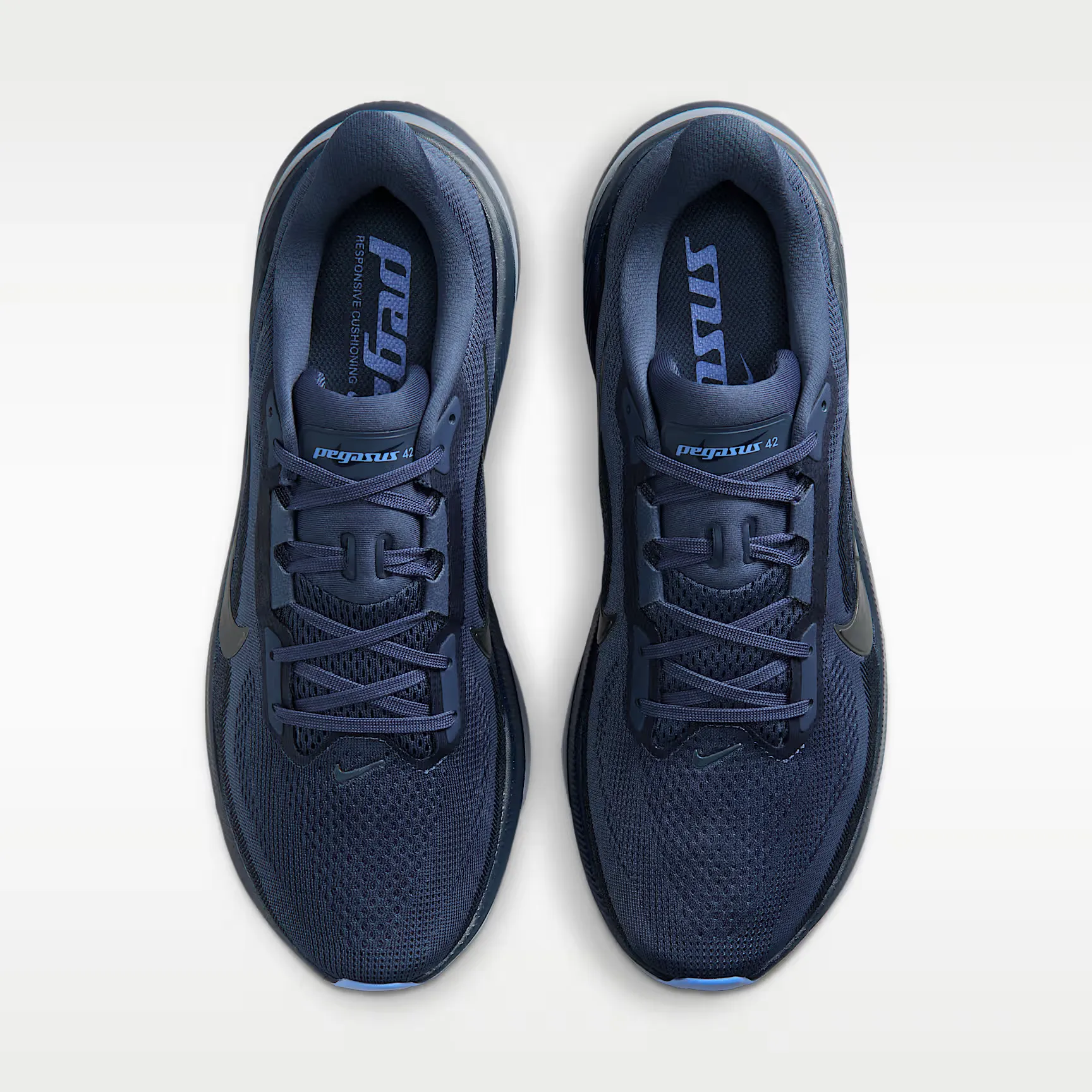 000000_Nike_Nike-Pegasus-42_IB1873-401_img3