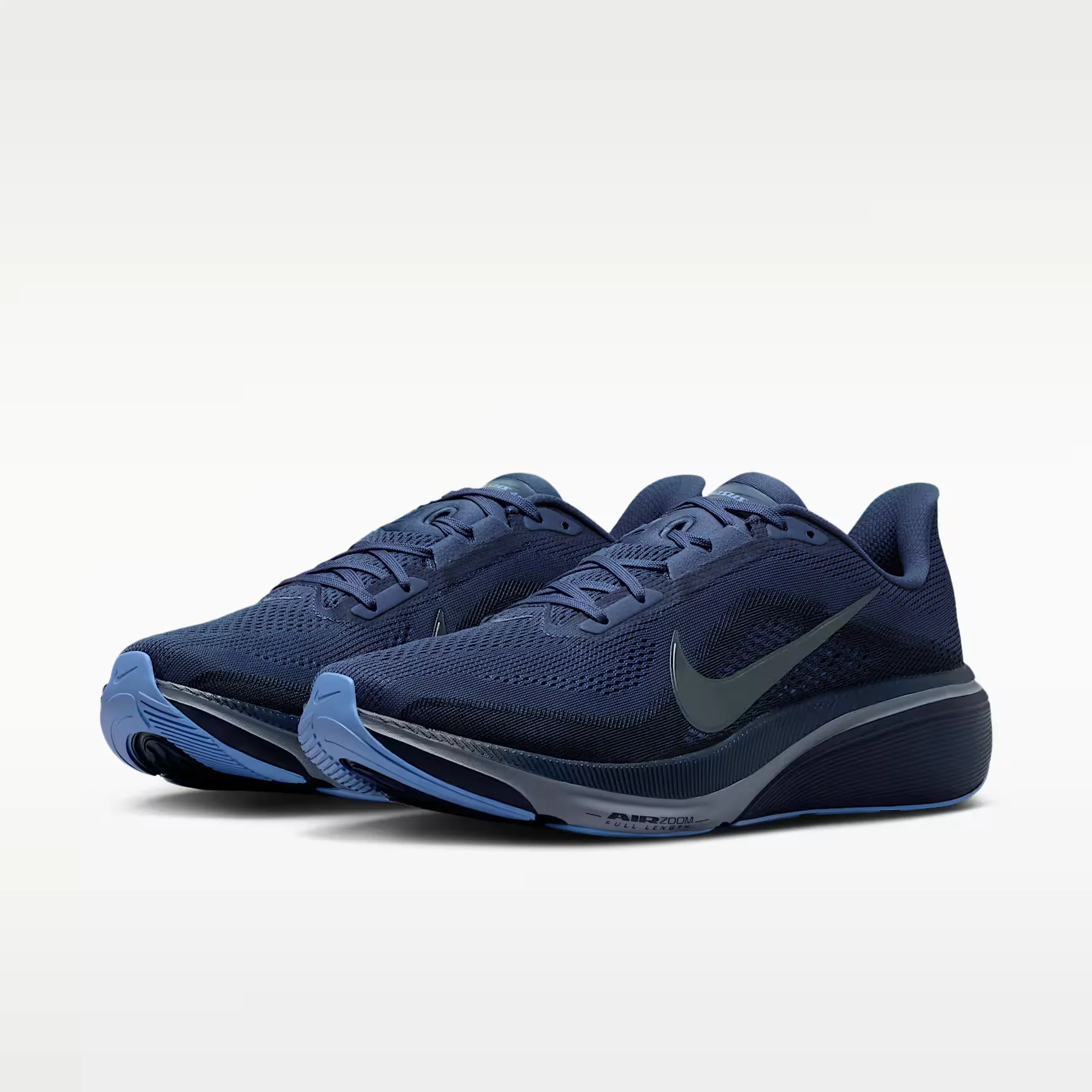 000000_Nike_Nike-Pegasus-42_IB1873-401_img4