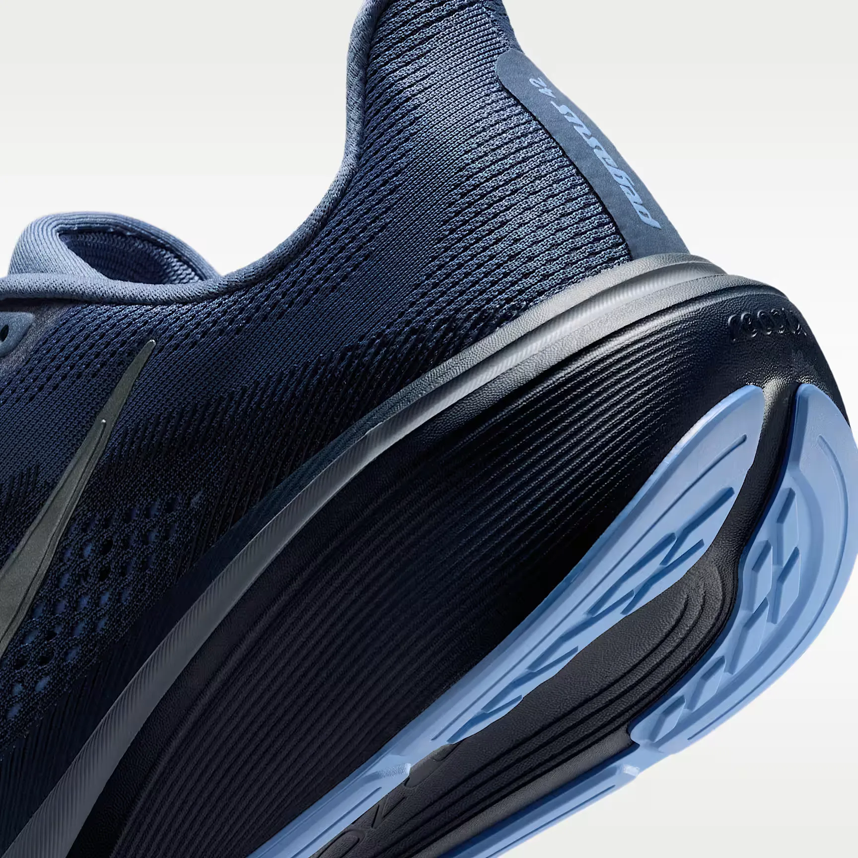 000000_Nike_Nike-Pegasus-42_IB1873-401_img7