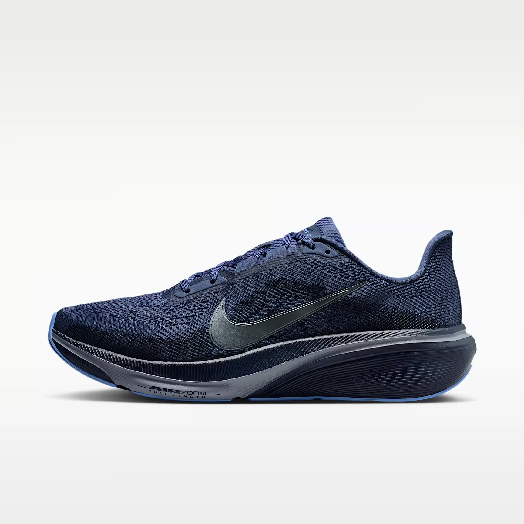 000000_Nike_Nike-Pegasus-42_IB1873-401_img0