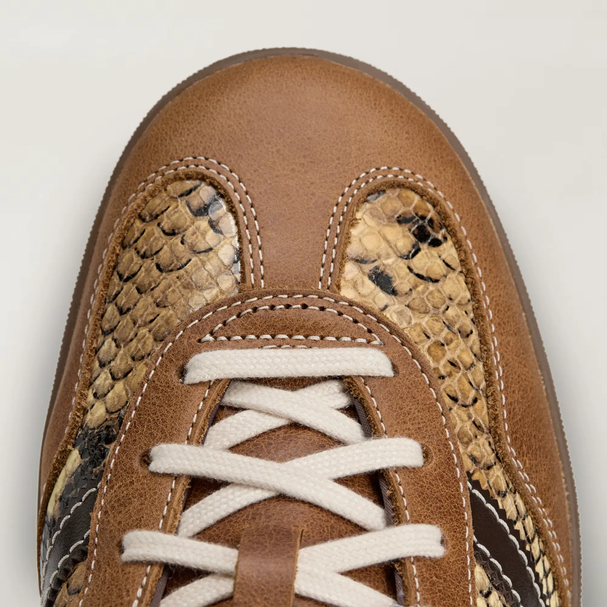 Wales-Bonner-x-adidas-Gazelle-Snake_Dust-Rust_KK3641_img7
