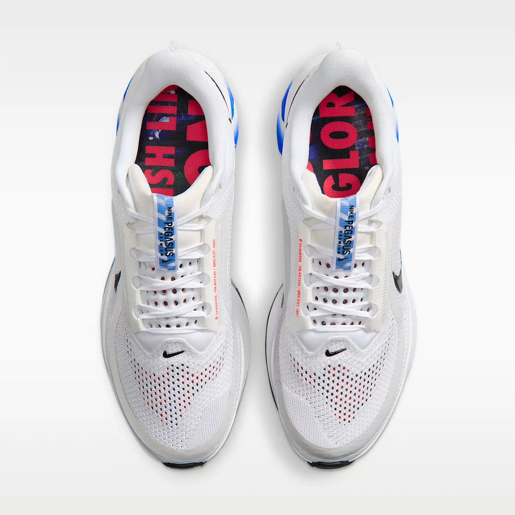 000000_Nike-Pegasus-Premium_White-Racer-Blue_II5262-100_img3
