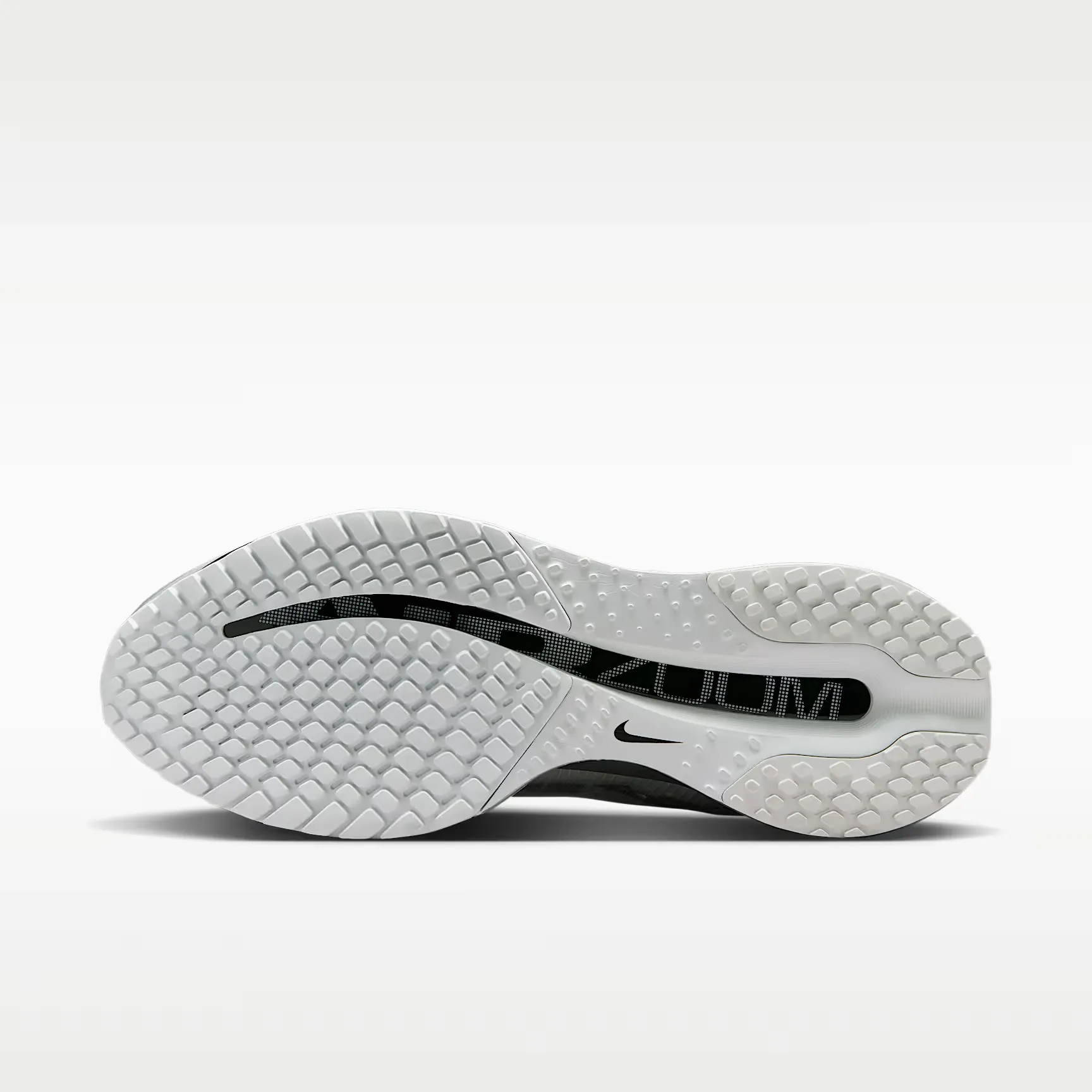 000000_Nike-Pegasus-Premium_Photon-Dust-Black-Silver_IR1229-001_img1