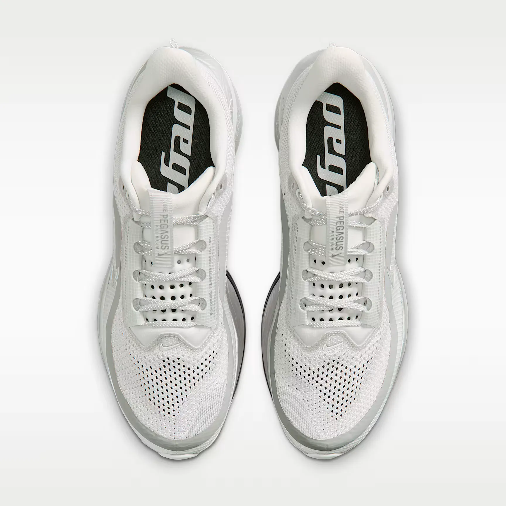 000000_Nike-Pegasus-Premium_Photon-Dust-Black-Silver_IR1229-001_img3