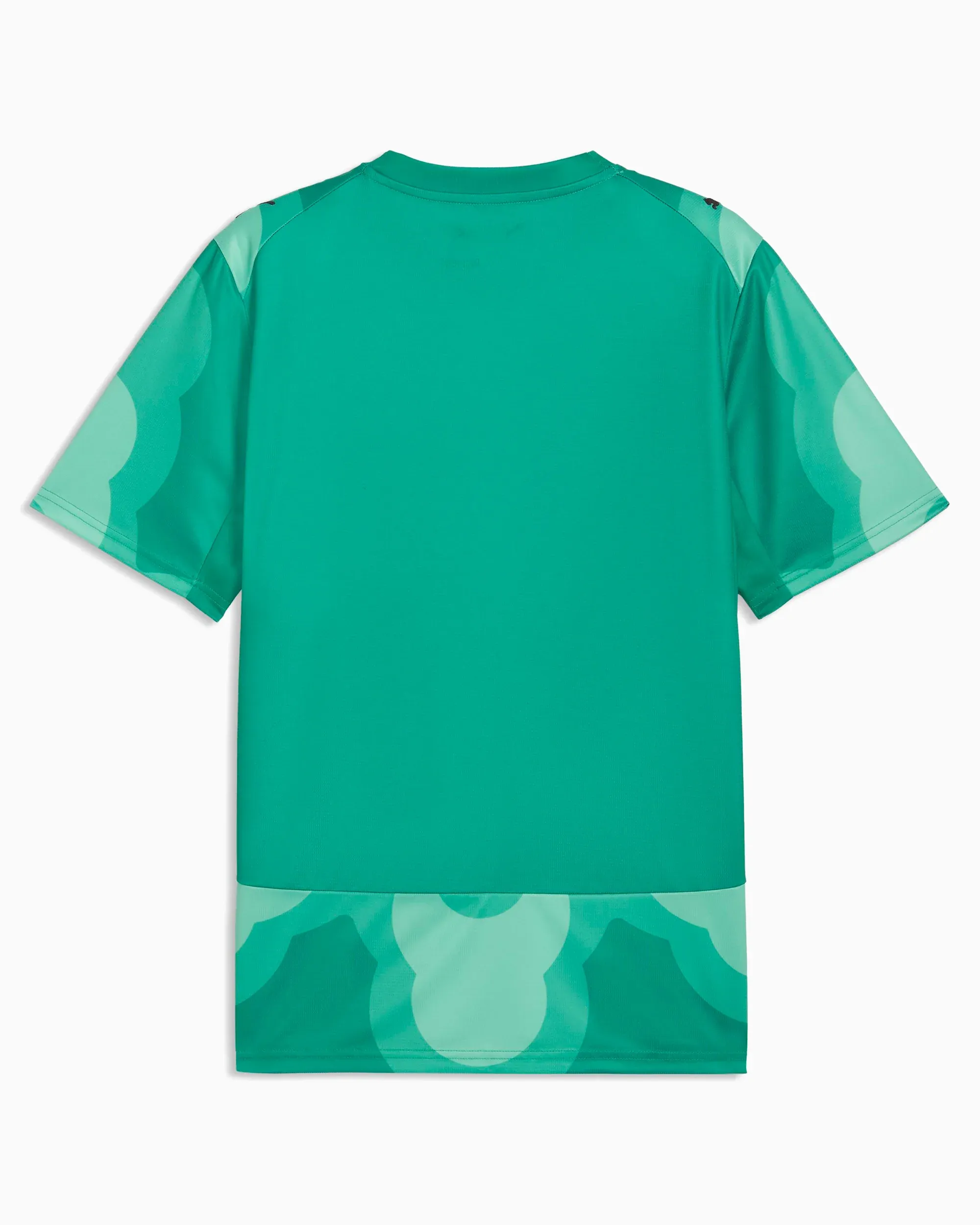 000000_Salehe-Bembury-x-Puma-x-Ivory-Coast-Goalkeepers-Jersey-T-Shirt_Vert-Turquoise_787111-89_img4
