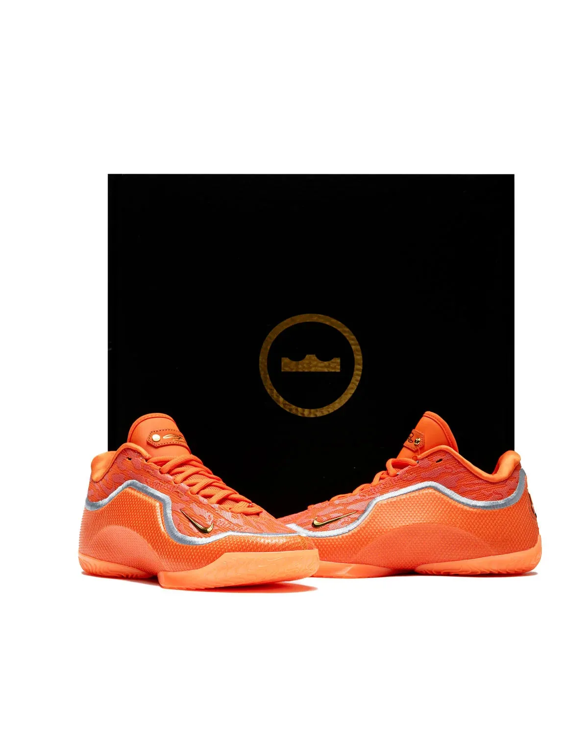 000000_Nike-LeBron-23_Shoe-Bag_IV5647-800_img4