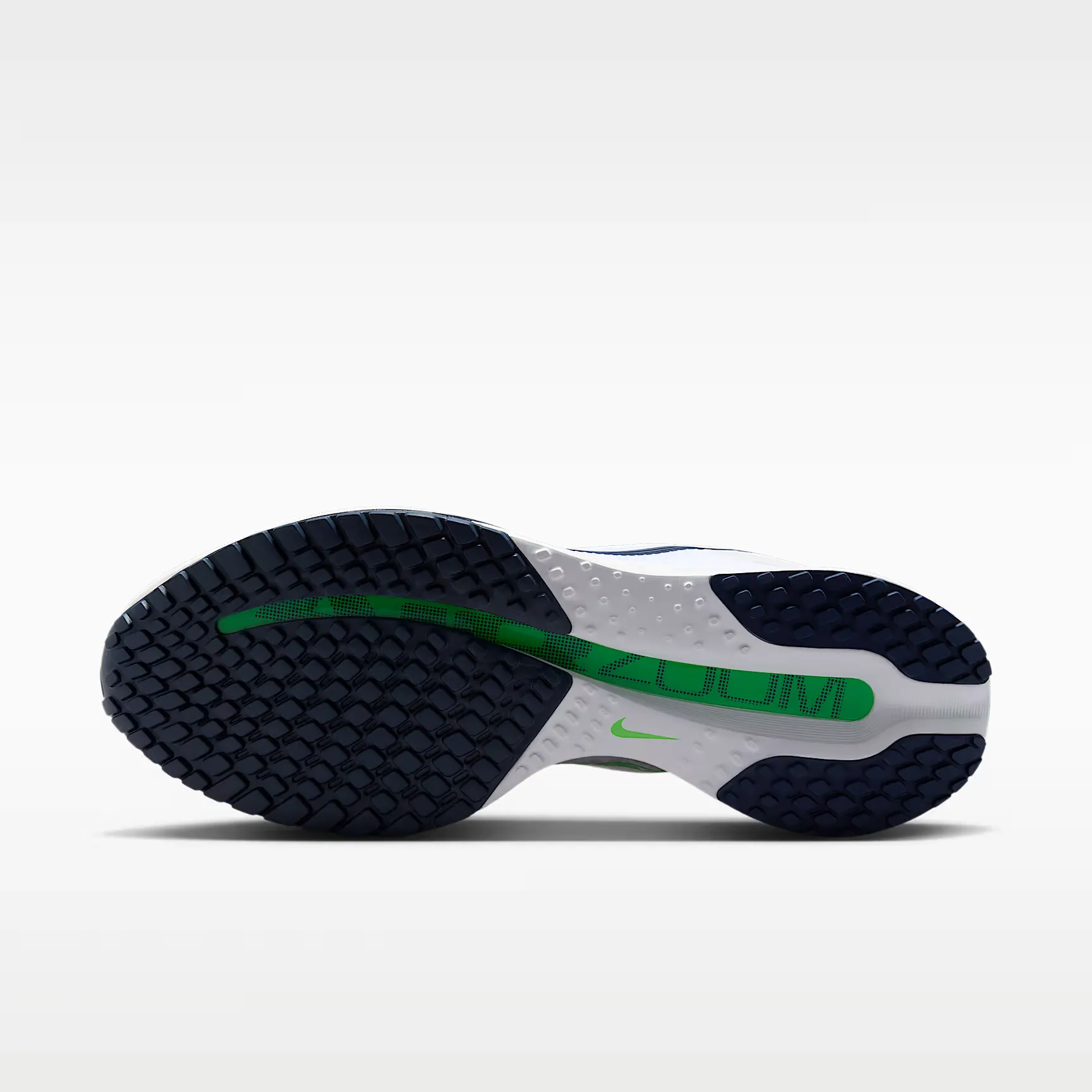 000000_Nike-Pegasus-Premium_Seahawks_HQ2592-110_img1
