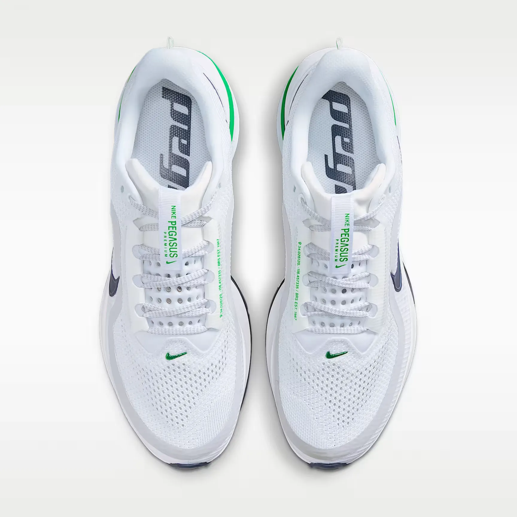 000000_Nike-Pegasus-Premium_Seahawks_HQ2592-110_img3