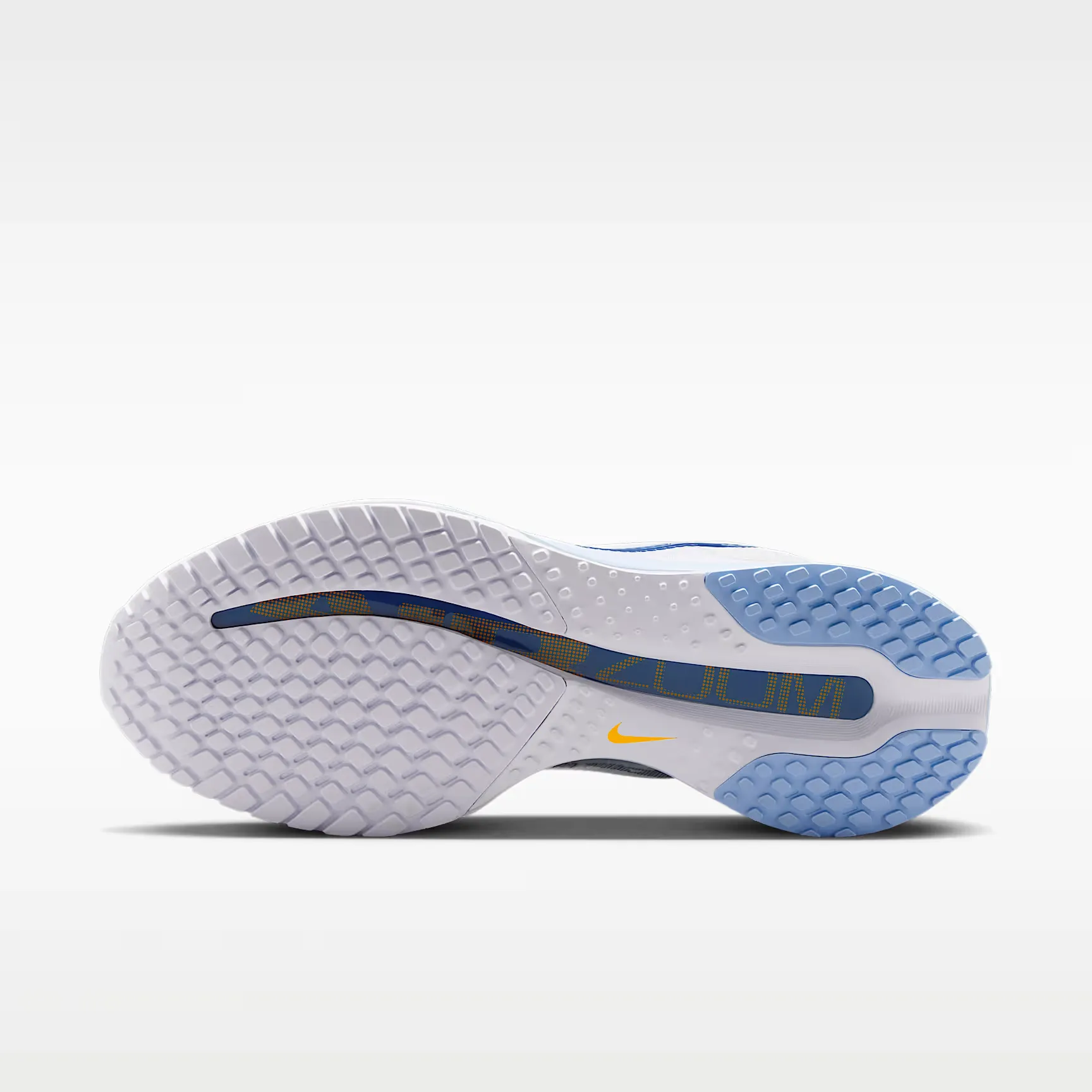 000000_Nike-Pegasus-Premium-WMNS_White-Aluminum_HQ2593-107_img1