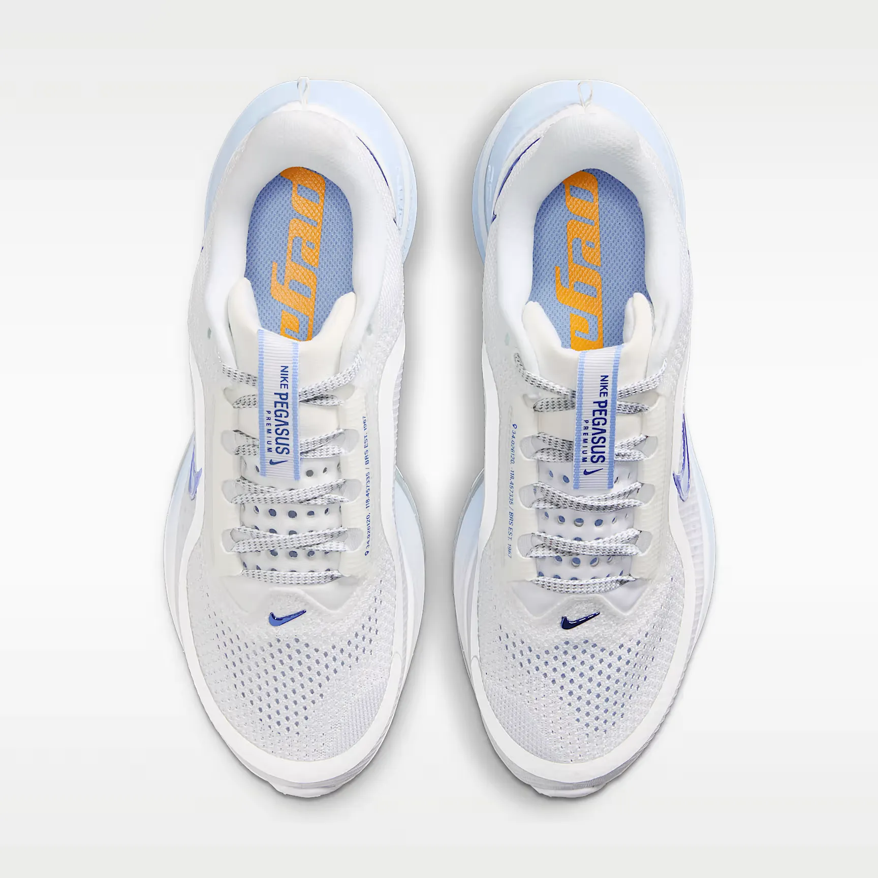 000000_Nike-Pegasus-Premium-WMNS_White-Aluminum_HQ2593-107_img3