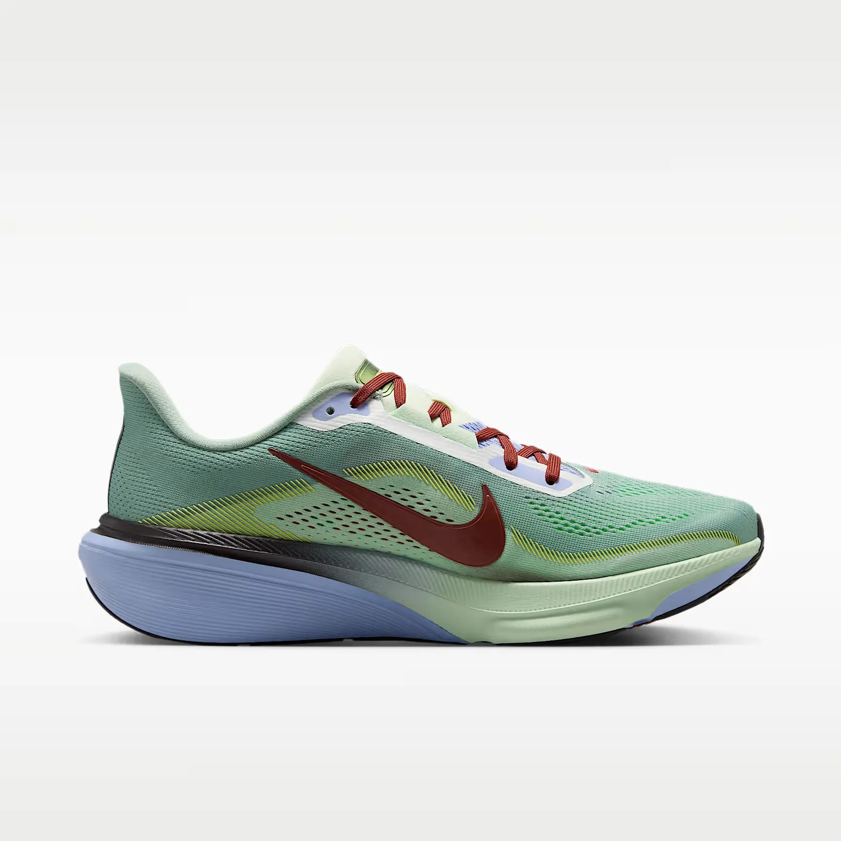 000000_Nike-Pegasus-42-SE_Steam-Frosted-Spruce_IW1247-099_img2