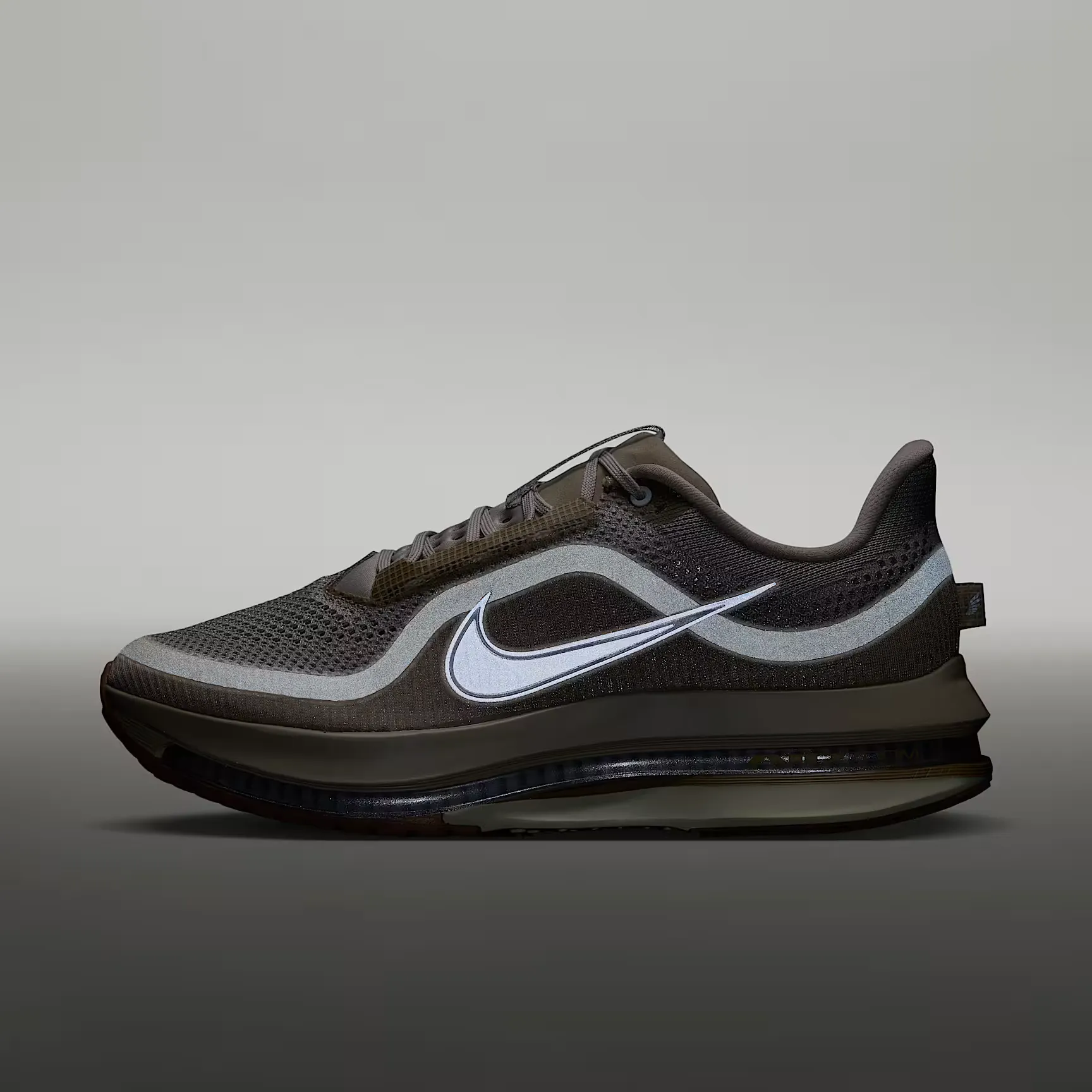 000000_Nike-Pegasus-Premium_Desert-Khaki-Metallic-Silver_IM8342-200_img8