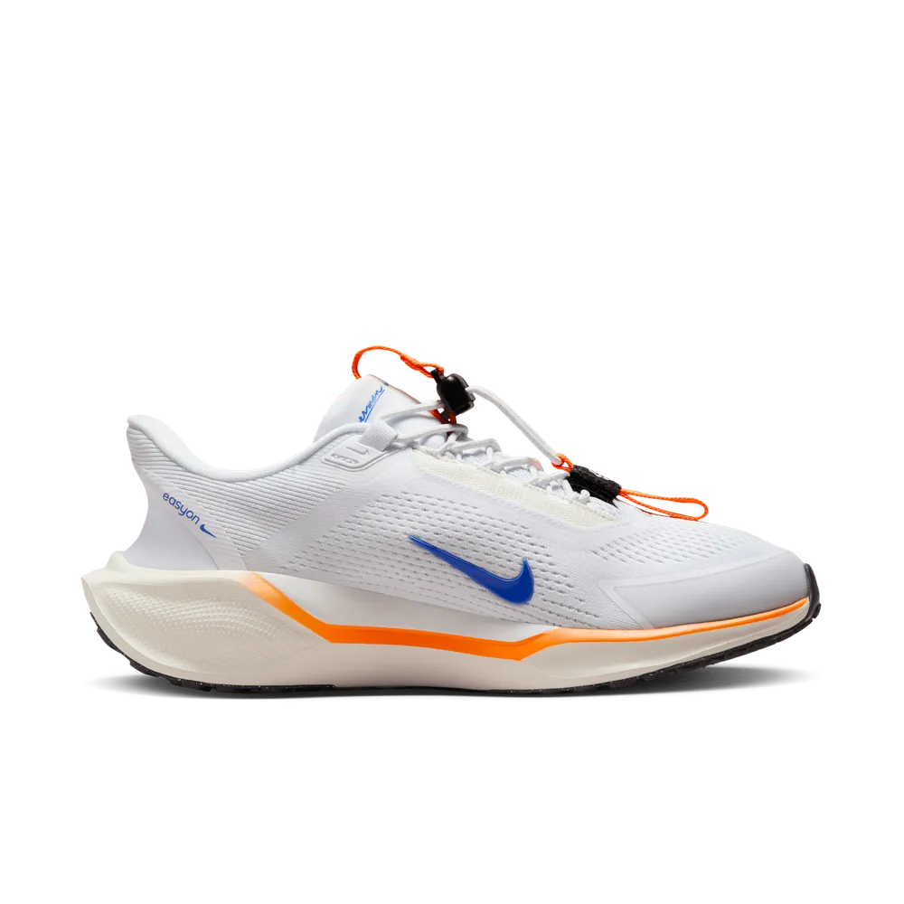 075FB7_Nike-Air-Zoom-Pegasus-41-EasyOn-FP-WMNS_BLUEPRINT-MULTICOLOR_HM0375-900_img2