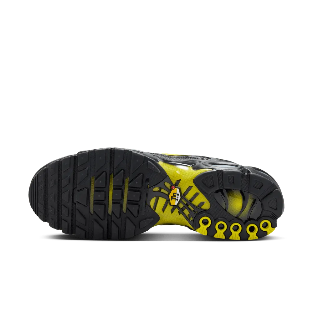 A6AFB9_Nike-Air-Max-Plus_WOLF-GREY_DM0032-012_img2