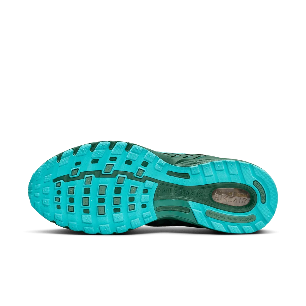 2C5142_Nike-Air-Pegasus-2k5_FIR_FZ7354-300_img1