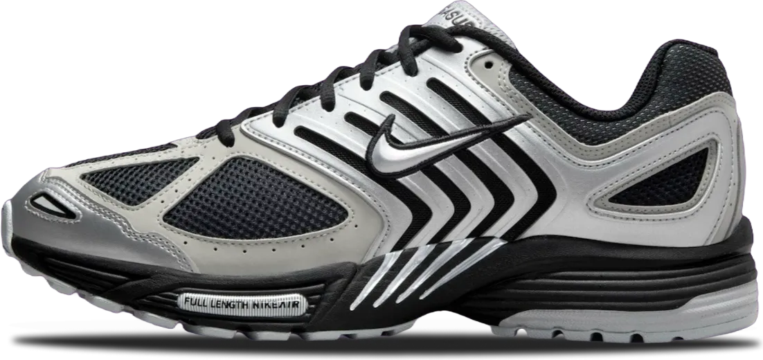 Nike Air Pegasus 2K5 METALLIC SILVER
