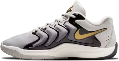 image de Nike Kd 17 Light Iron Ore Fj9487 003