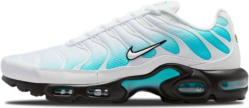 Image de Nike Air Max Plus Dusty Cactus IU7539-345
