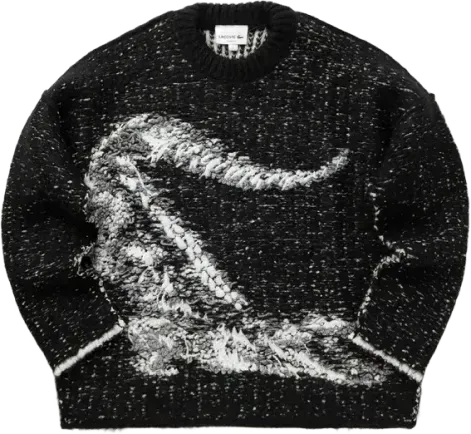 Image de Lacoste Sweater Black AH1709-031