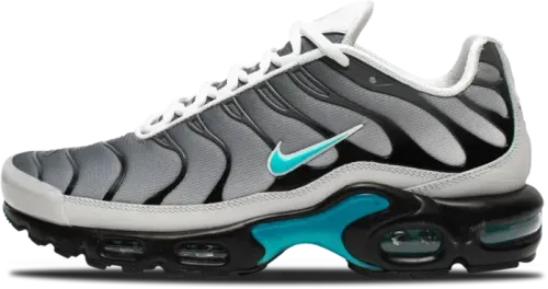 One Block Down Nike Air Max Plus Matte Silver FZ3308 001 image