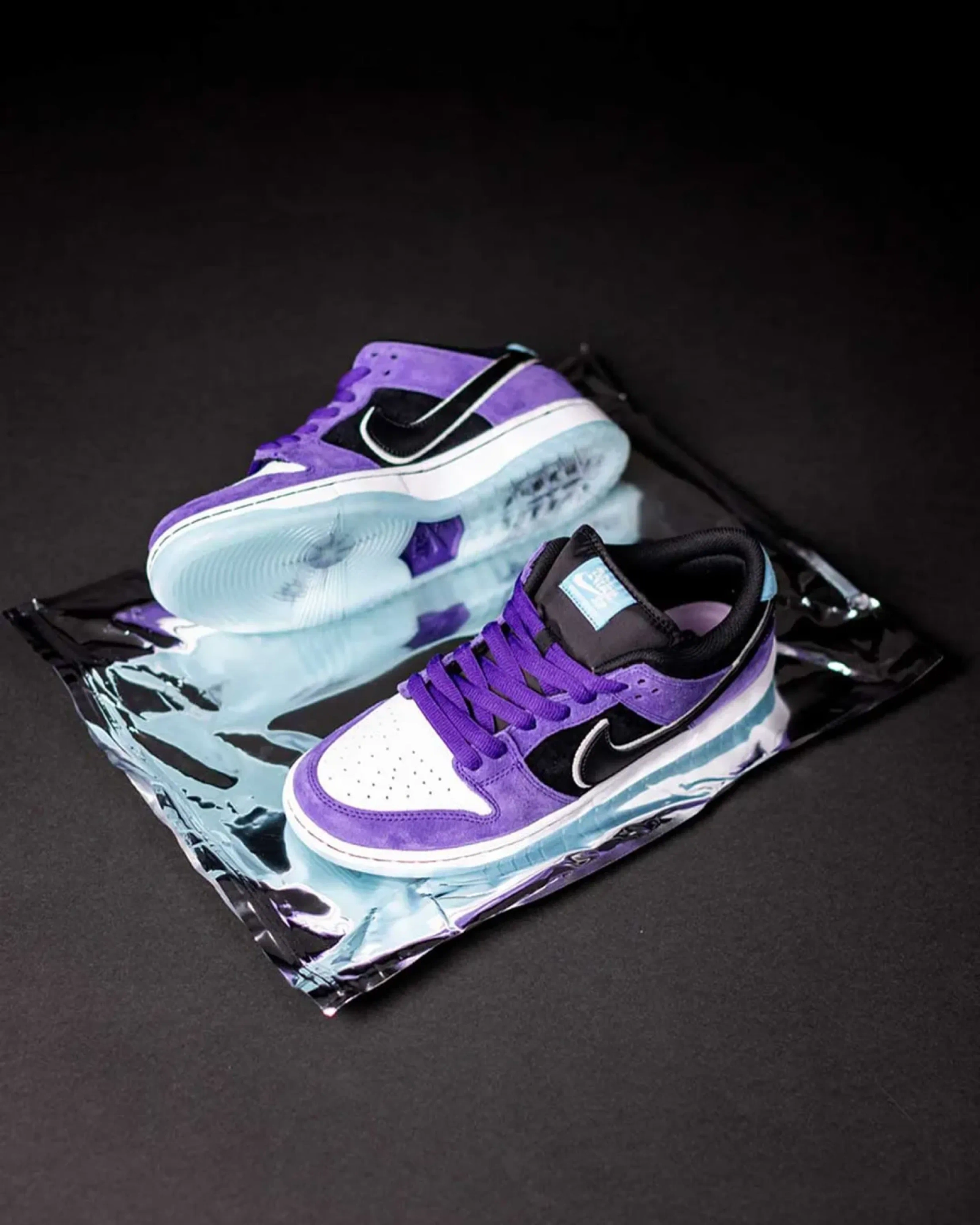 Hayley Wilson x Nike SB Dunk Low Pro Court Purple HJ0513-500