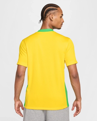 nike-soccer-replica-jersey-2025-brazil-stadium-home-fz9011-718.png