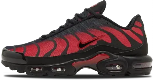 Nike Air Max Plus Bred Reflective DZ4507 600