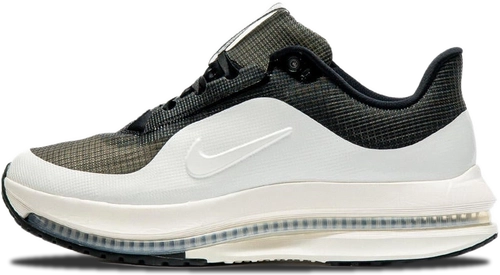 Image de Nike Pegasus Premium SP BLACK SAIL SAIL
