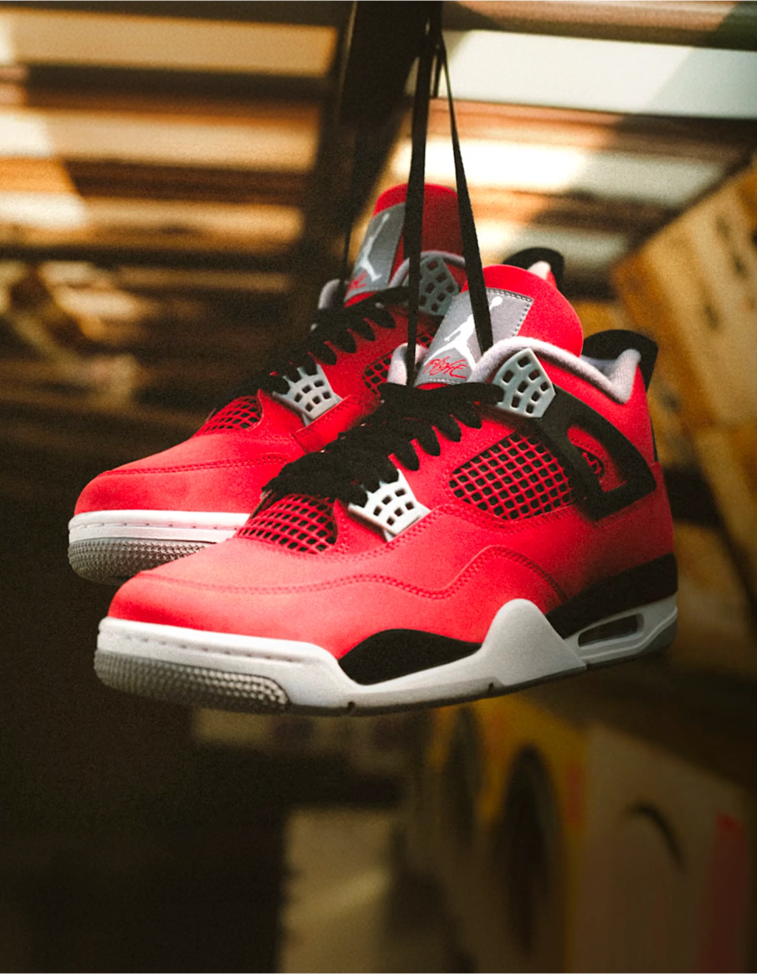Air Jordan 4 Toro Bravo