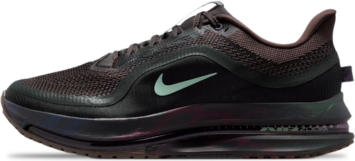 Image de Nike Pegasus Premium IRONSTONE