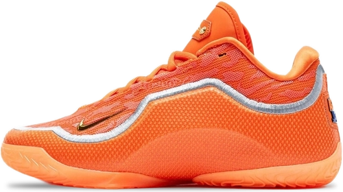 Image de Nike LeBron 23 SHOE BAG IV5647-800