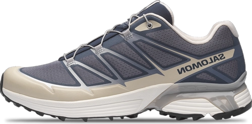 Salomon XT-PATHWAY 2 GRISAILLE FTW SILVER RAINY DAY image