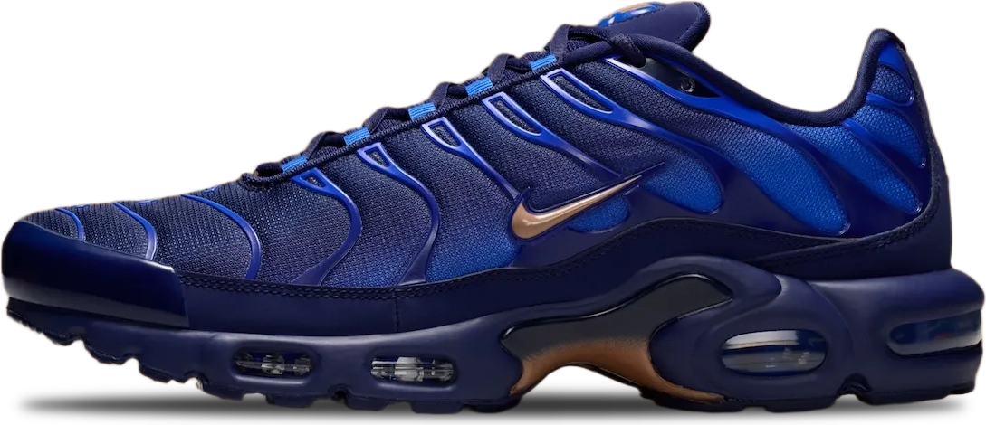 Nike Air Max Plus FRENCH FOOTBALL FEDERATION