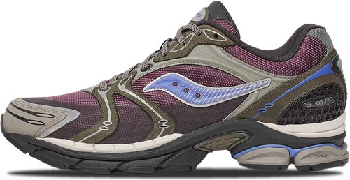 Image de Saucony ProGrid Triumph 4 FIG BLUE