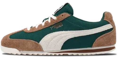 image de Puma Arizona Suede Green Brown 399664-01
