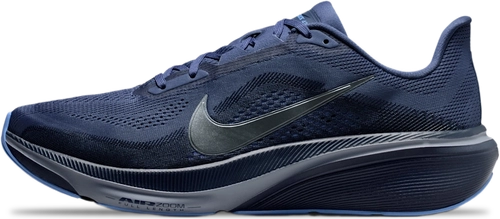 Nike Nike Pegasus 42 image