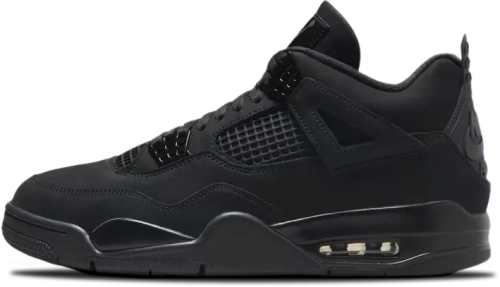 Air Jordan 4 Black Cat FV5029-010