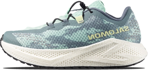 Image de Salomon AERO GLIDE 4 GRVL STORMY WEATHER LICHEN