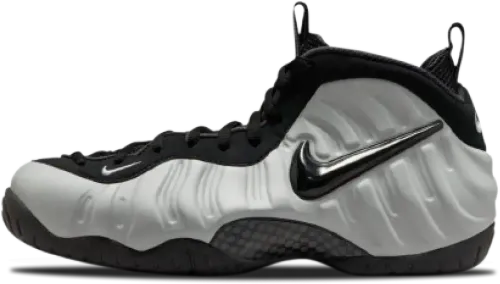 image de Nike Air Foamposite Pro Wolf Grey HF0794-001