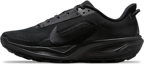 Image de Nike ACG Pegasus Trail BLACK ANTHRACITE