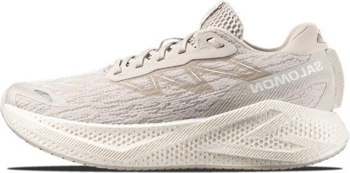 Image de Salomon Aero Glide 4 SILVER CLOUD