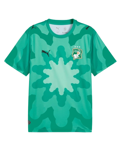 Image de Salehe Bembury x Puma x Ivory Coast Goalkeepers Jersey T-Shirt VERT TURQUOISE