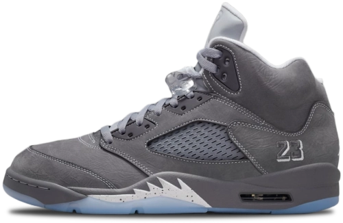 Image de Air Jordan 5 Wolf Grey DD0587-002