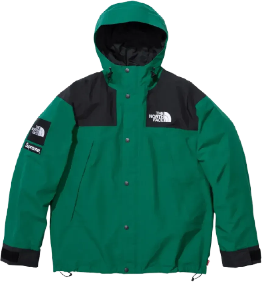 Supreme x The North Face Mountain Jacket GREEN