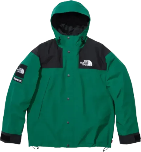 Image de Supreme x The North Face Mountain Jacket Green