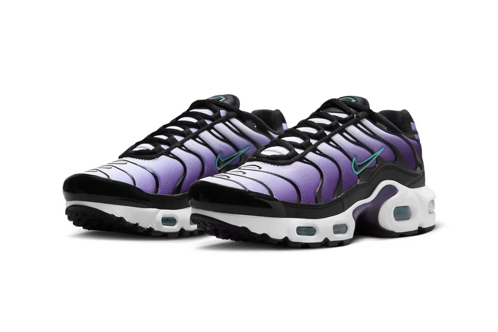 nike air max plus TN reverse grape FQ2415-500